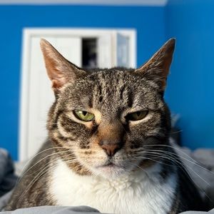 Meet your Posher, Robert